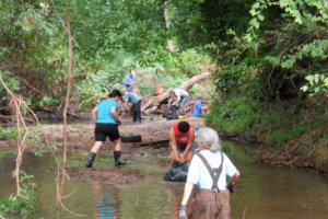 Volunteers Cleaning