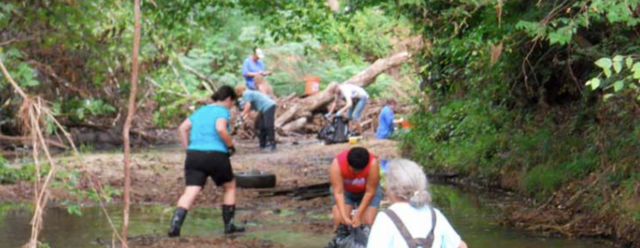 Volunteers Cleaning