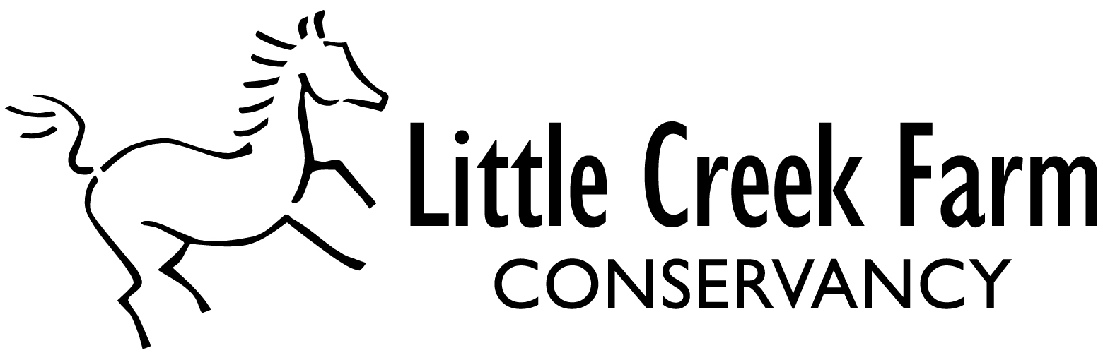 Little Creek Farm Conservancy – Keeping the Neigh in the Neighborhood